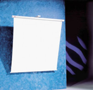 SCHERMO PROIEZIONE DA MURO 150X150 WS150 50483