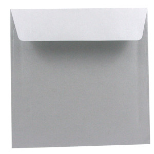A57U118 03 BUSTE SPECIAL EVENTS SILVER 17X17 120GR