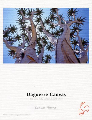 Hahnemühle DAGUERRE CANVAS 