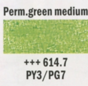 5595866147 VAN GOGH PASTELLI AD OLIO VERDE PERMANENTE MEDIO