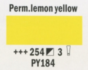 5501052542 REMBRANDT COLORE OLIO T9 GIALLO PERM.LIM. SERIE 3 40ML