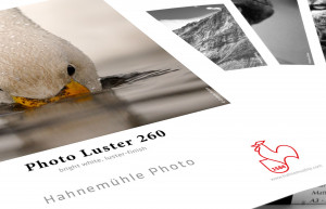 Hahnemühle PHOTO LUSTER 260GR 